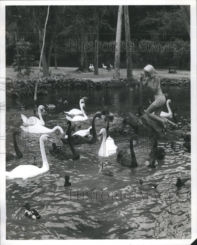 1957 Springs Florida Pretty Melody Subjects - Historic Images