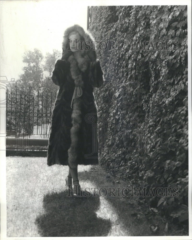 1979 Fox Lined Fur Coat - Historic Images