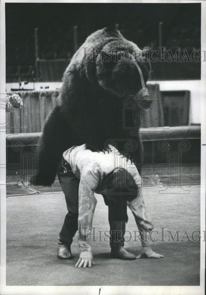 1976 Press Photo Acrobats with bear performing stunts - Historic Images
