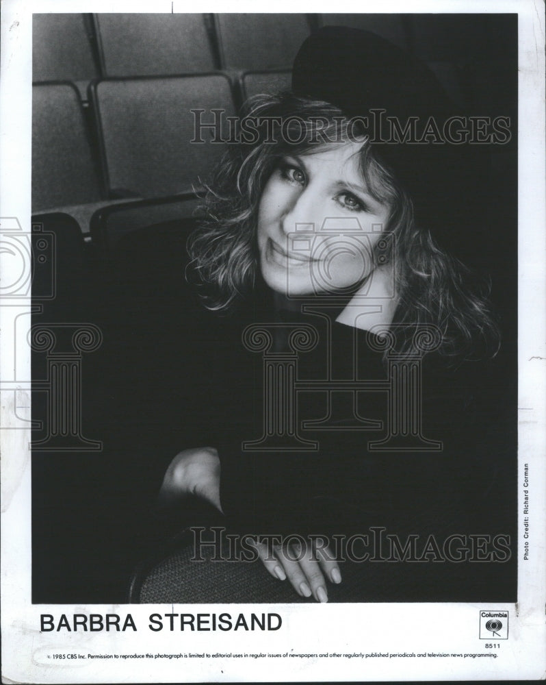 1988  Barbra Streisand Actress Producer - Historic Images