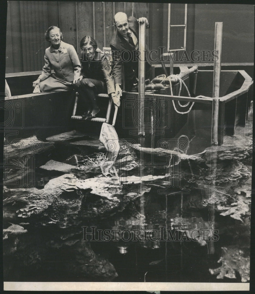 1971 Chicago Shed Aquarium - Historic Images