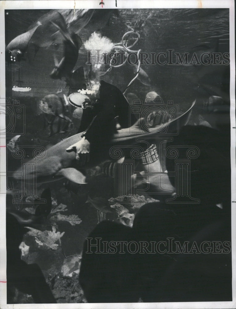 1976 Shedd Aquarium - Historic Images
