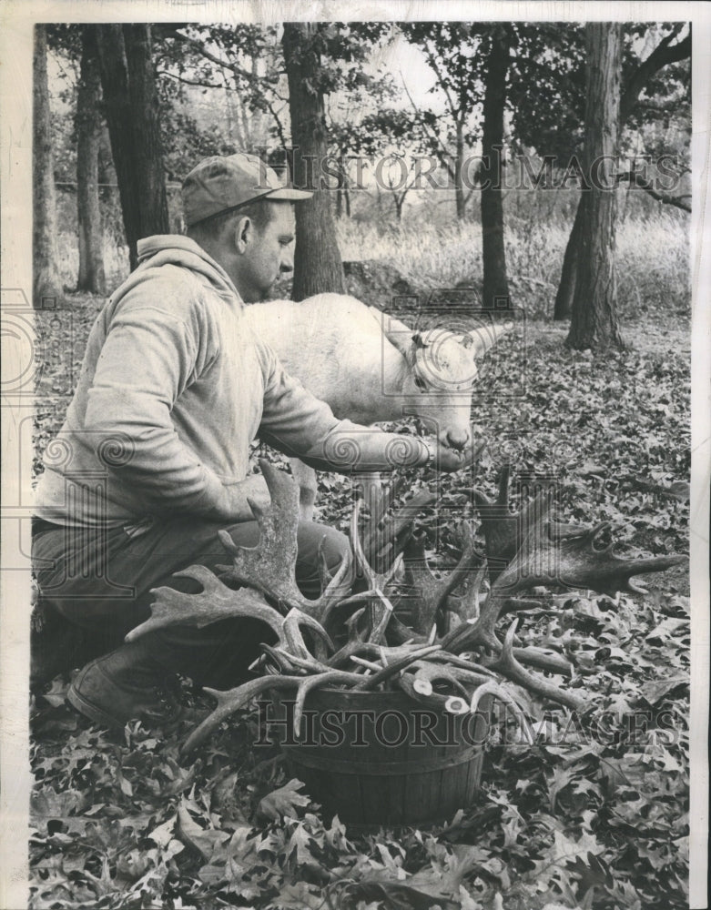 1962 Jack Hughes Deer Haven Feding Deer - Historic Images
