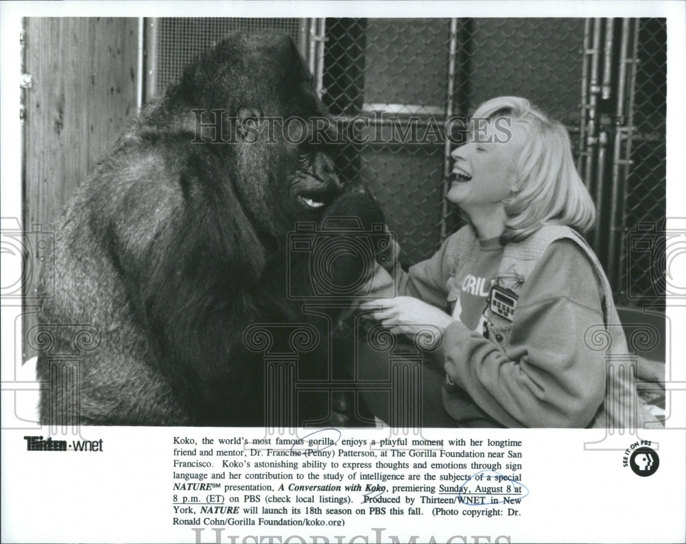  Koko Gorilla Friend Francine Francisco - Historic Images