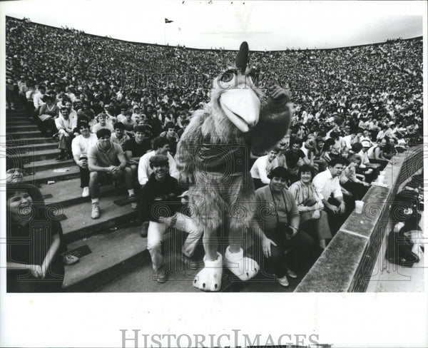 1984 San Diego Chicken mascot - Historic Images