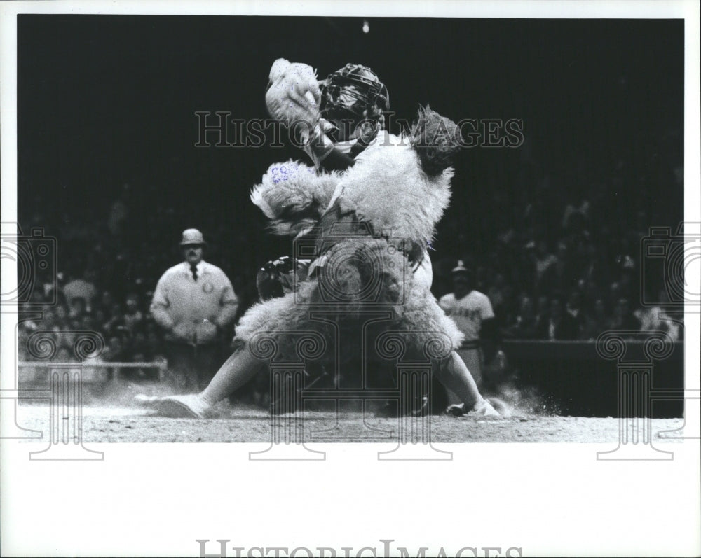 1983 Ted Gianoulas in mascot suit - Historic Images