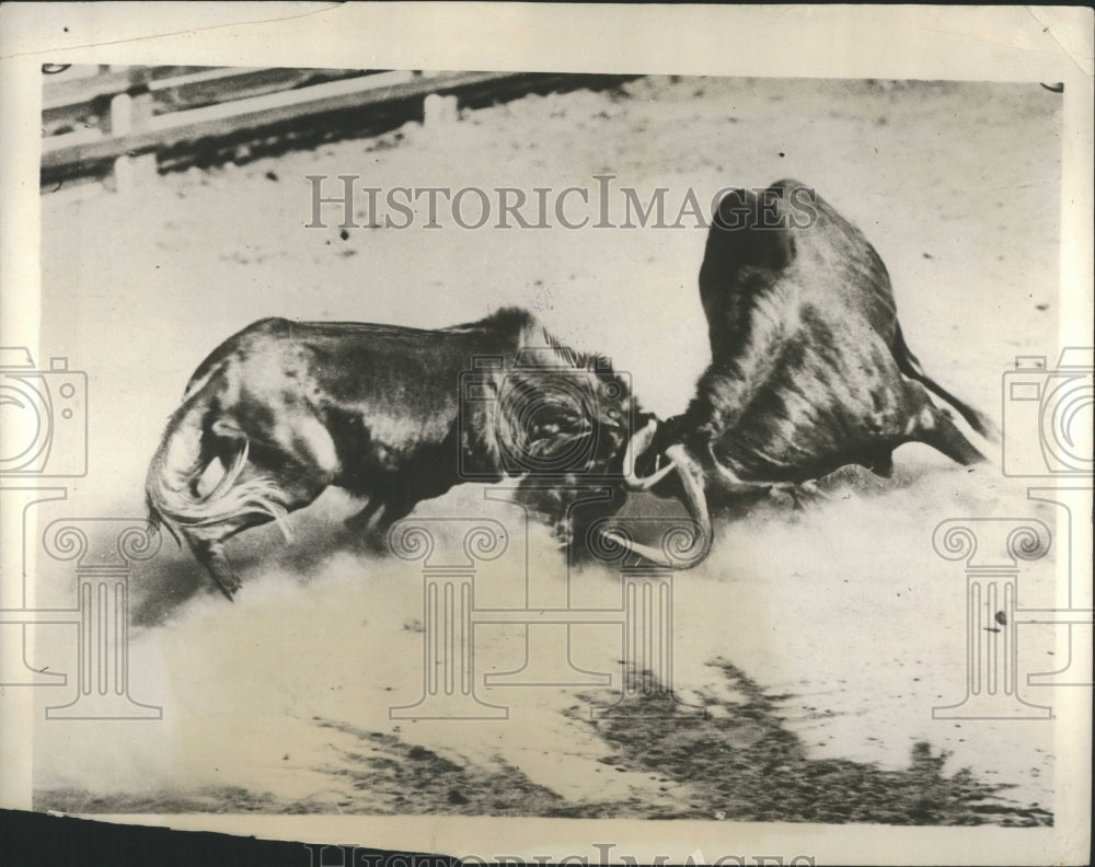 1929 Group Process Metamorphosis Process - Historic Images