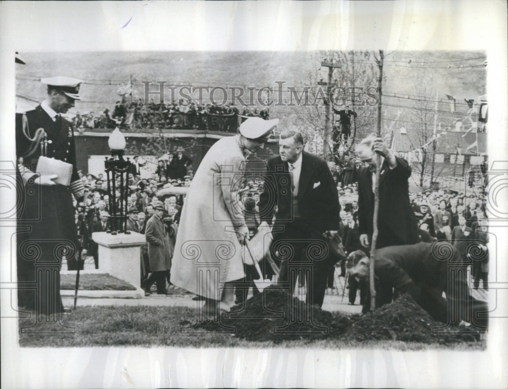 1939 King George Queen Elizabeth Trees - Historic Images
