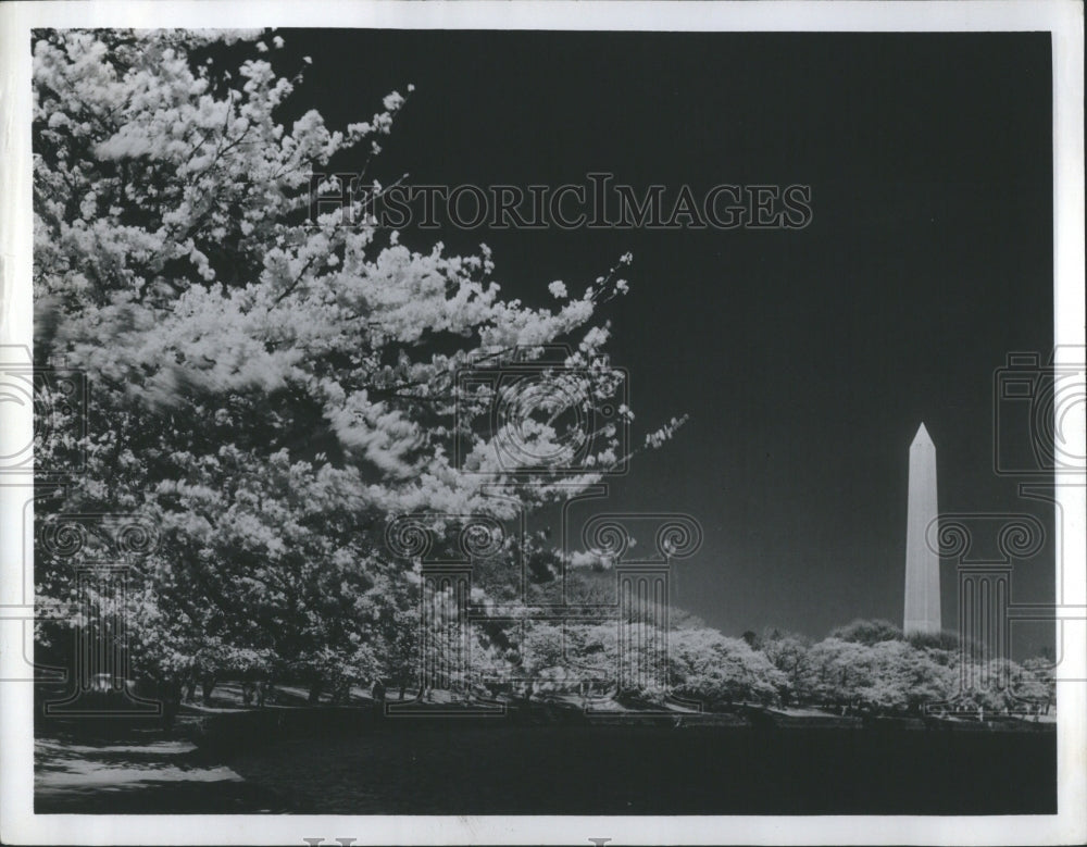 1951 A view of the Washington Monument - Historic Images