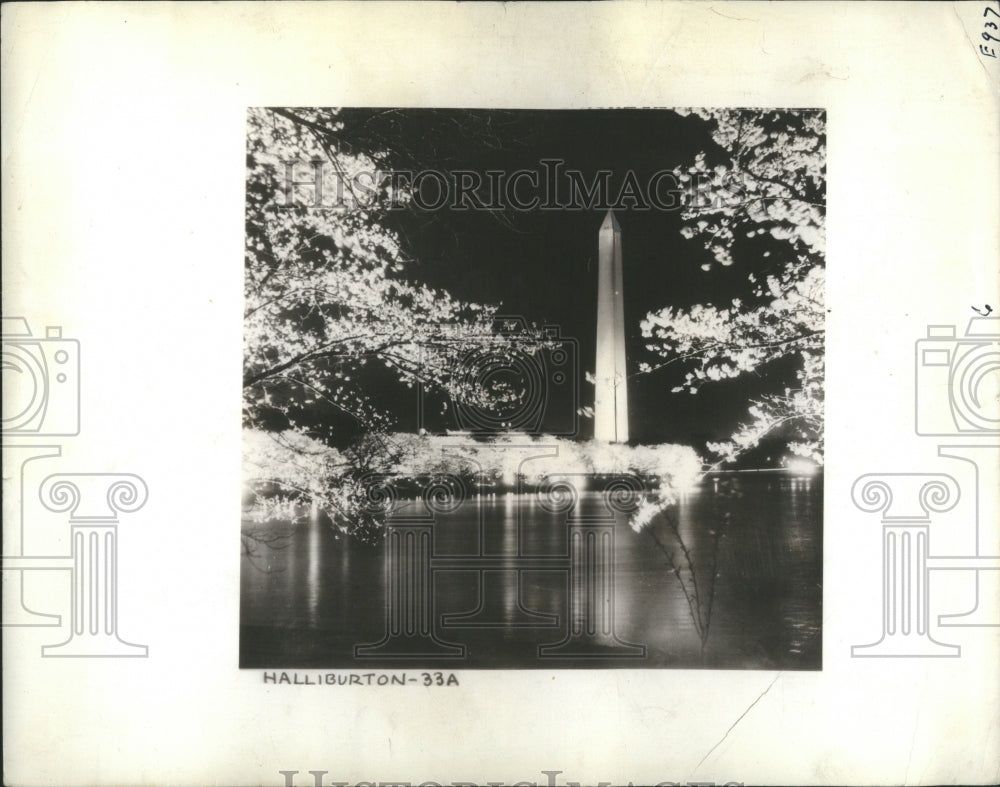 1935 Press Photo Cheery Blossoms Halliburton Washington - Historic Images