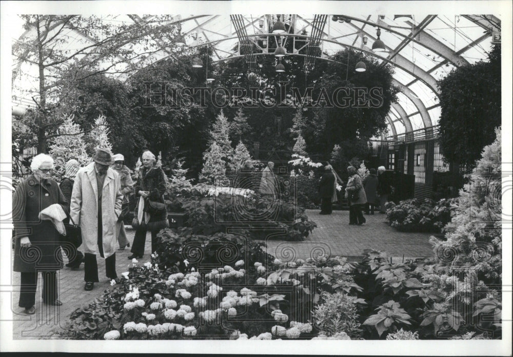 1977 People looking at flowers - Historic Images