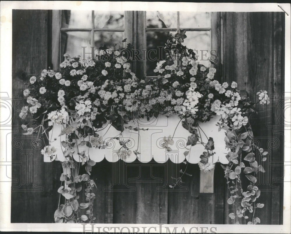 1963 Press Photo Flower box - Historic Images