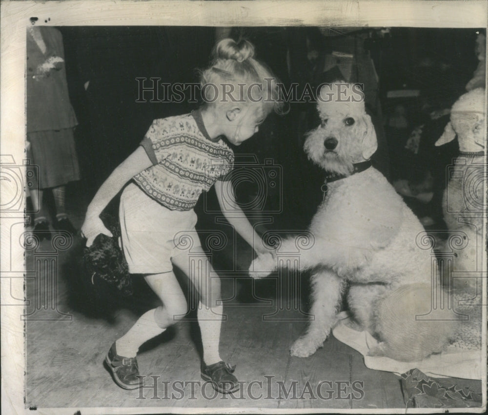 1954 Poodle Dog Border German Second Breed - Historic Images