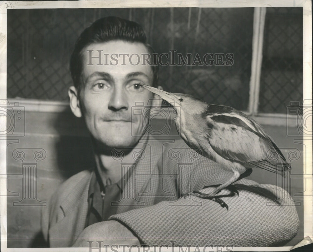 1954 Class Vertebrates Bipedal Birds Egg - Historic Images