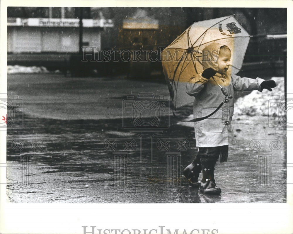 1988 Rainy Day At Chicago Lincoln Park Zoo - Historic Images