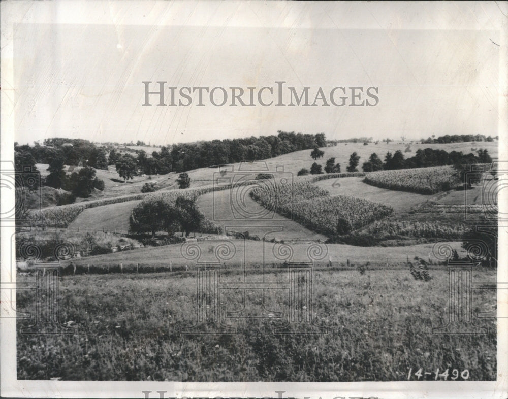 1960 Hillside - Historic Images