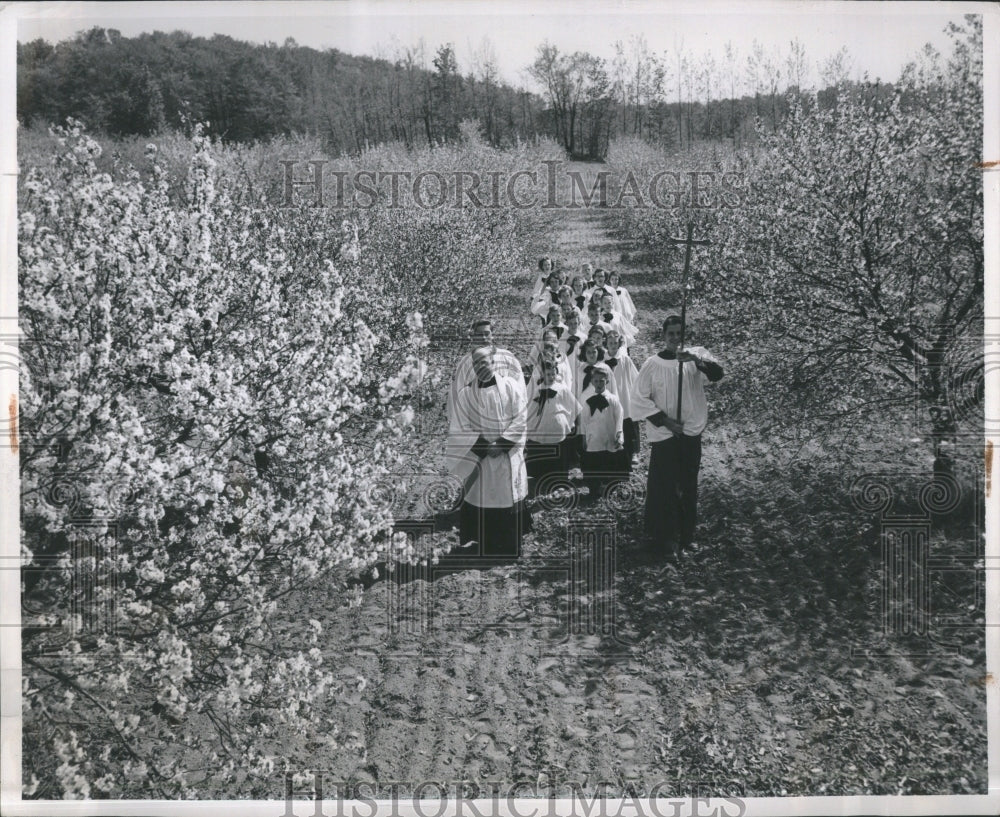 1950 Fruit Commerce Wild Cherry Cultivator - Historic Images