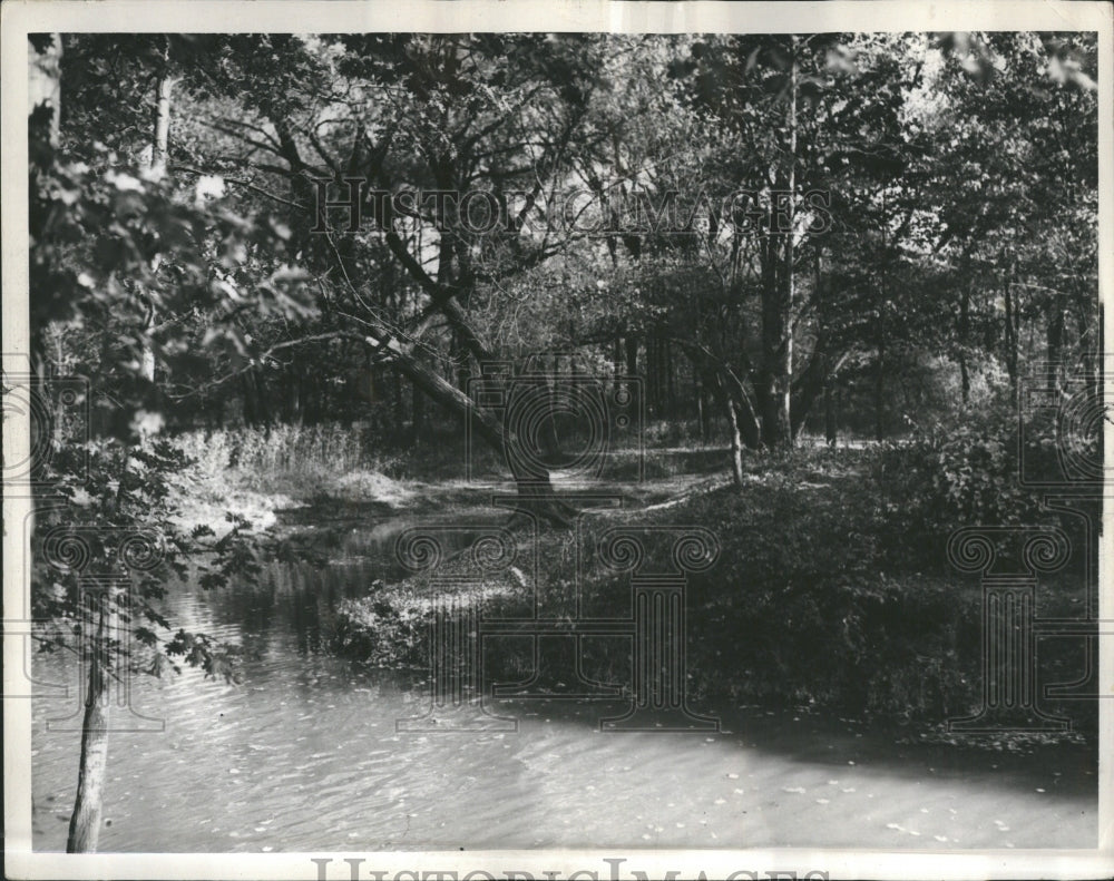 1983 Bend River Rougas Range Park Trees - Historic Images