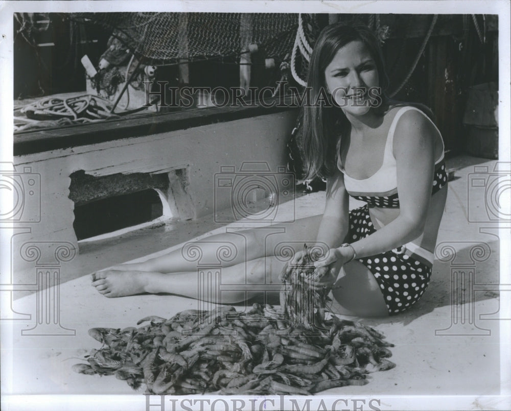 1969 Press Photo Shrimp - Historic Images