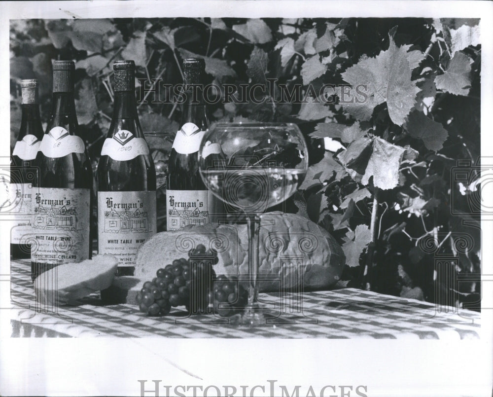 1974 Acid Enzyme Nutrient Ferment - Historic Images
