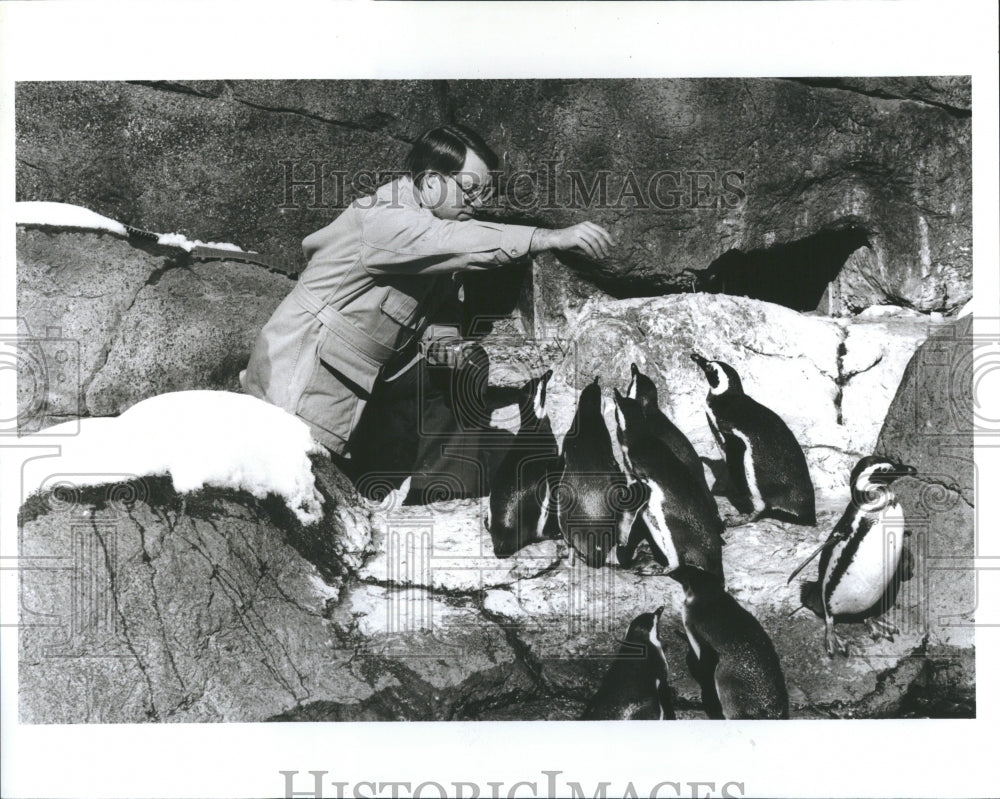1990 Potter Park Director Feeds Penguins - Historic Images
