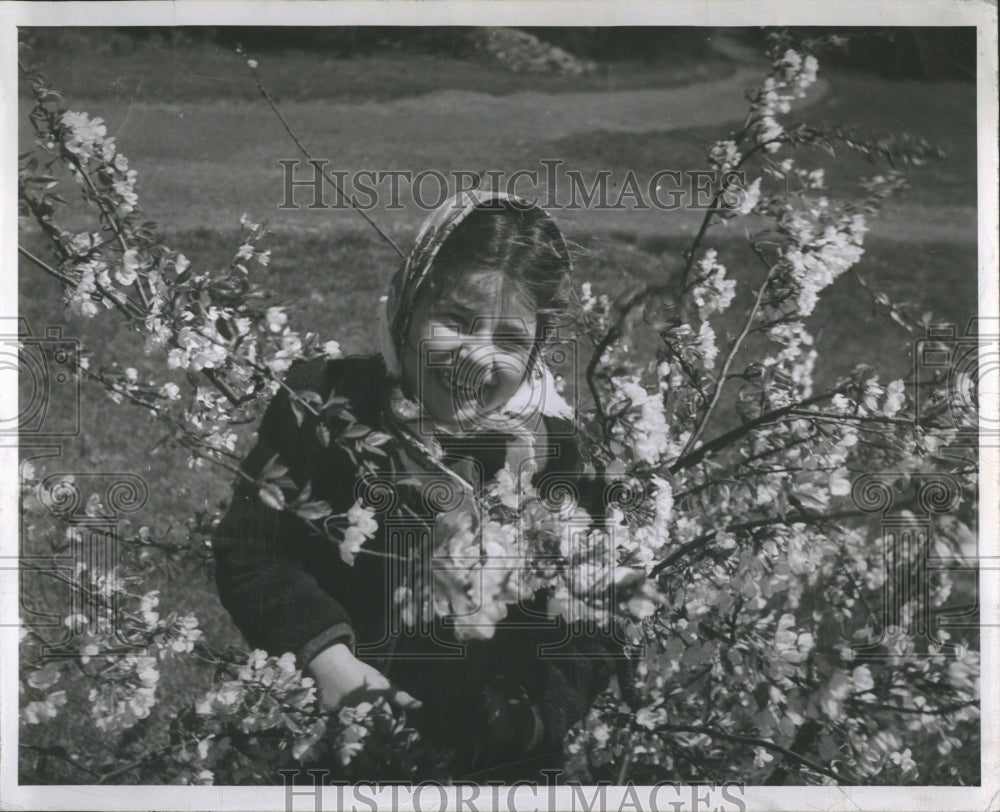 1950 Peaches Press Photo - Historic Images