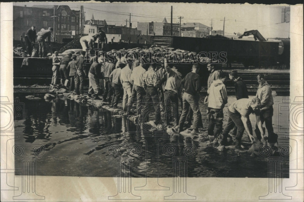 1985 Youths building new levee Rock island - Historic Images