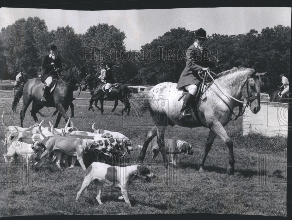 1972 Leading Hounds at Dunham Woods - Historic Images