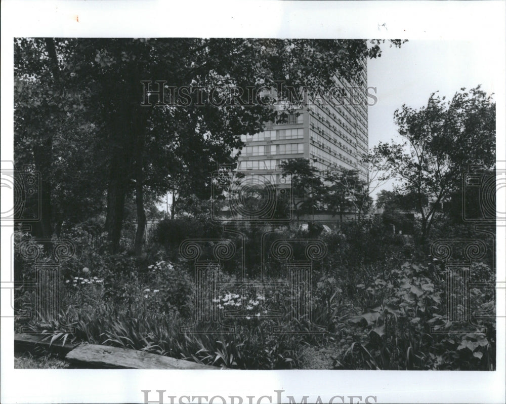 1994 Cornell Oasis - Historic Images