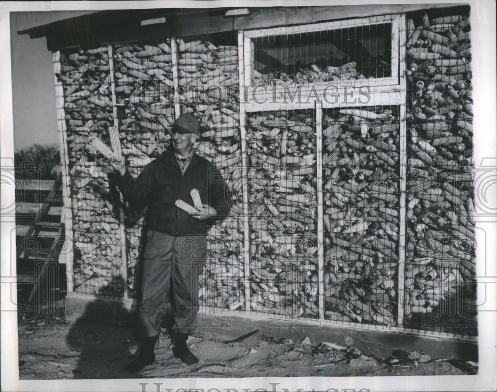 1949 Record Corn Crop Lidland Farm Michigan - Historic Images