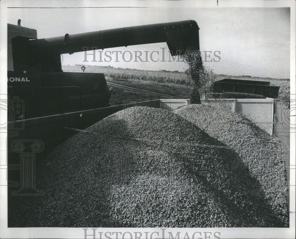 1976 Beints Farm Loading Corn Belvidere Ill - Historic Images