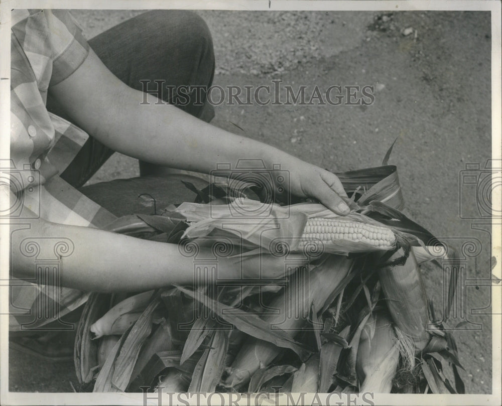 1953 Sweet Corn Shucking Stored Freezer - Historic Images