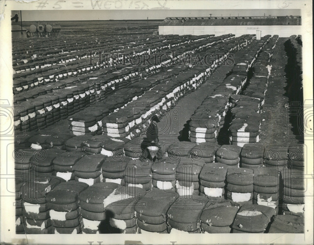 1938 Cotton Rows Storage Packages Farm - Historic Images