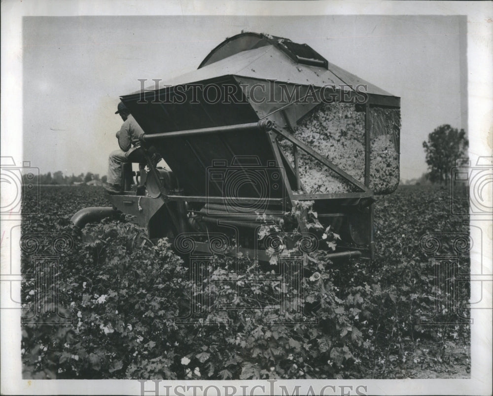 1947 Cotton Picking Machine Vehicle - Historic Images