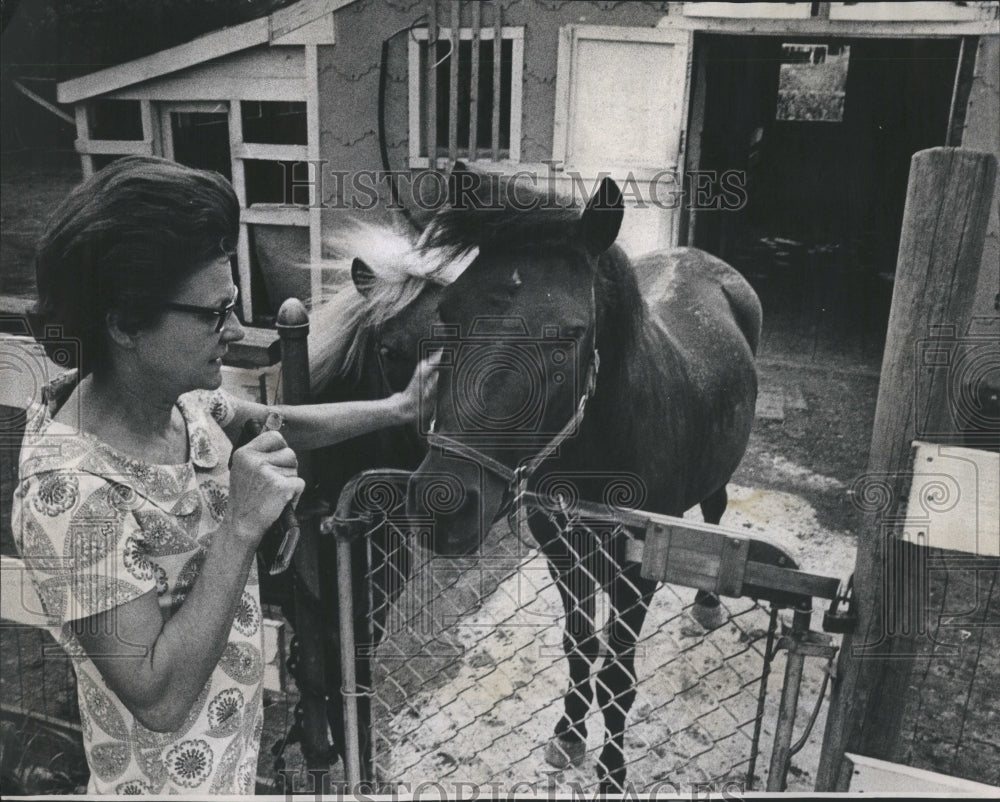 1971 Horse Must Go According To Zoning Law - Historic Images