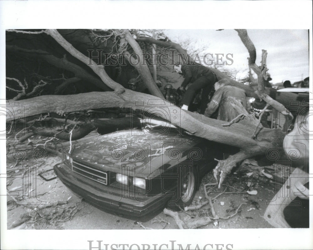 1990 Tree falls and crushes car - Historic Images