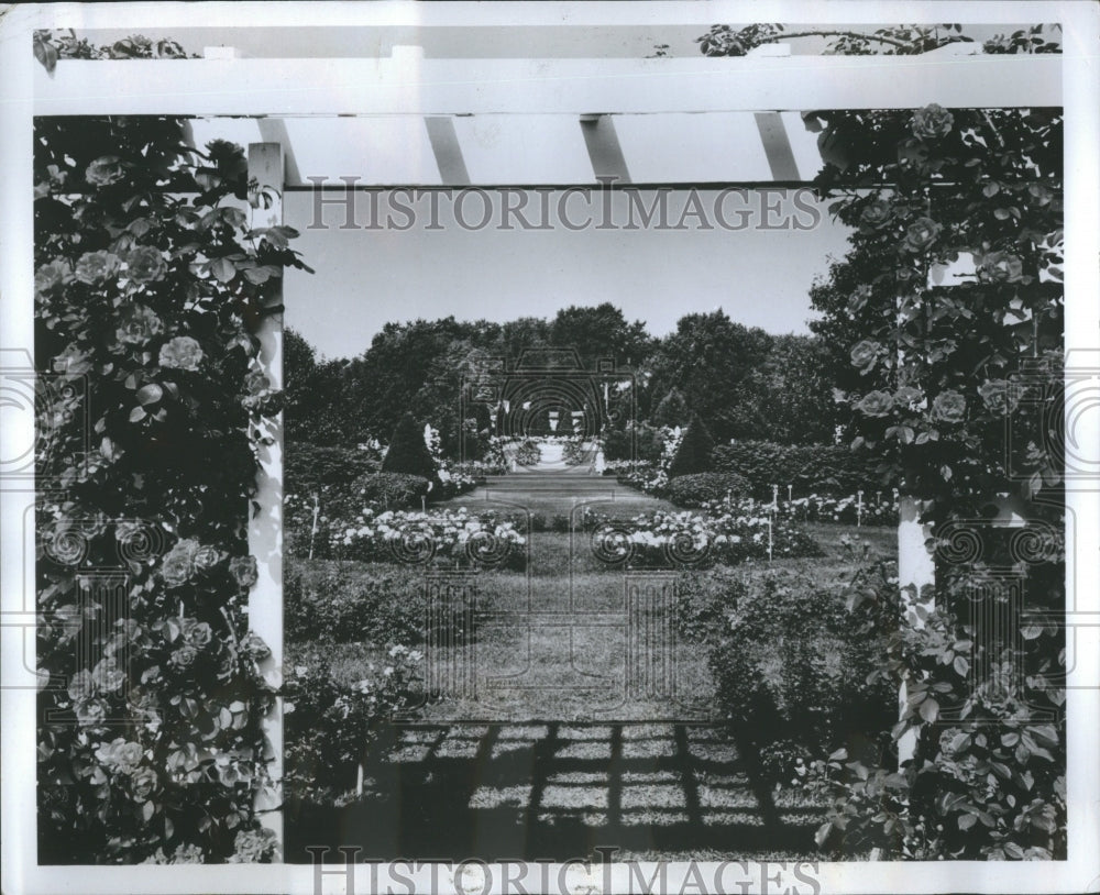 1984 Arbor Jackson &amp; Perkins Rose Garden - Historic Images