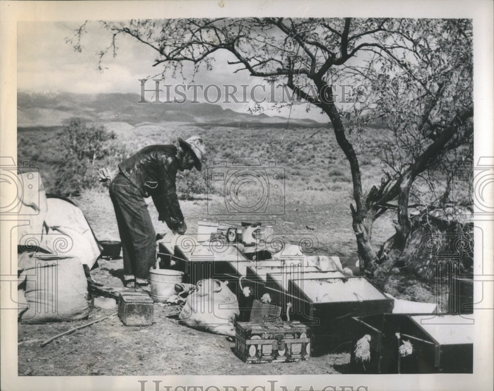 1952 Camp Site Preparation Equipment Food - Historic Images