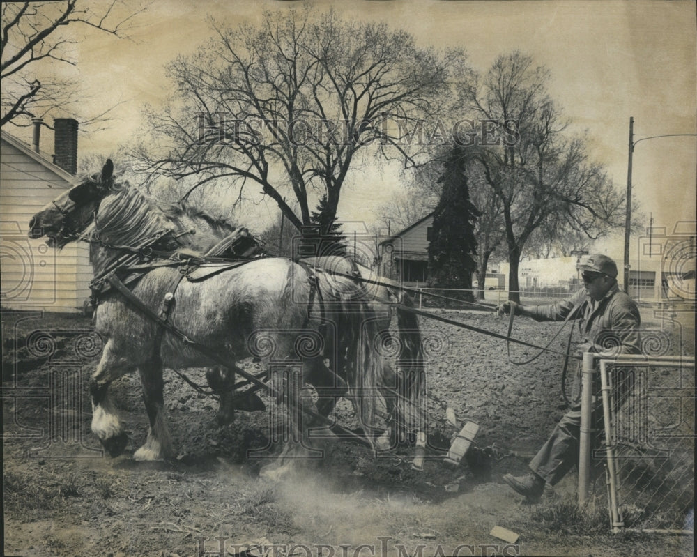 1979 Horsing Around in the Garden - Historic Images