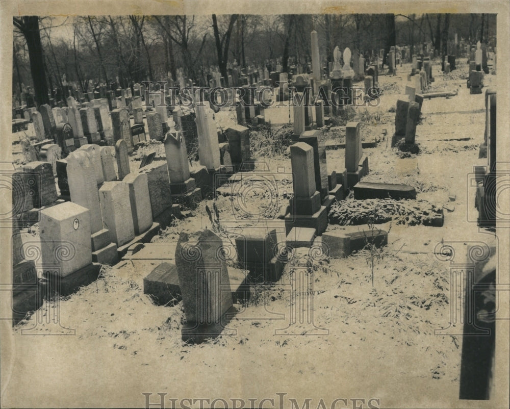 1980 Park Jewish Tombstone Waldheim Cemetry - Historic Images