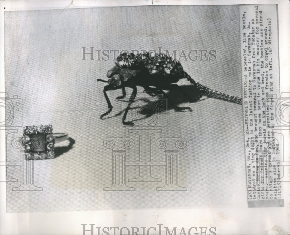 1962 Savannah Beetle Chain Yucatan Vogue - Historic Images