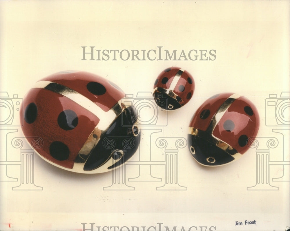 1993 Carolee Red Gold Black Ladubug Pins - Historic Images