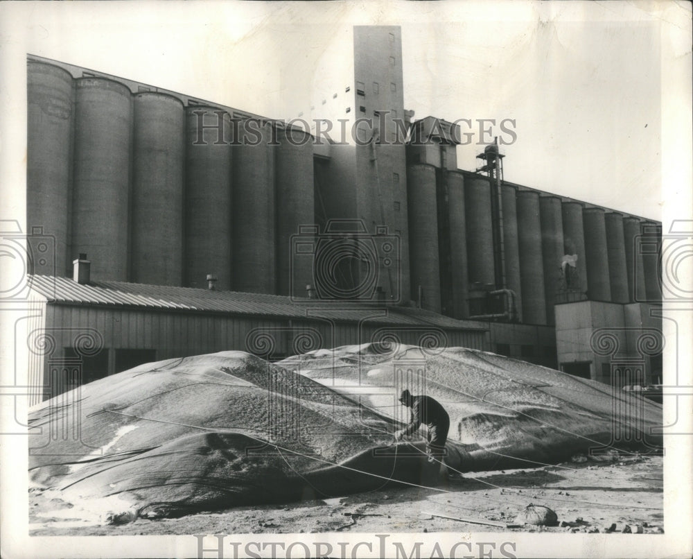 1960 Chicago Grain Storage Firm Elevators - Historic Images