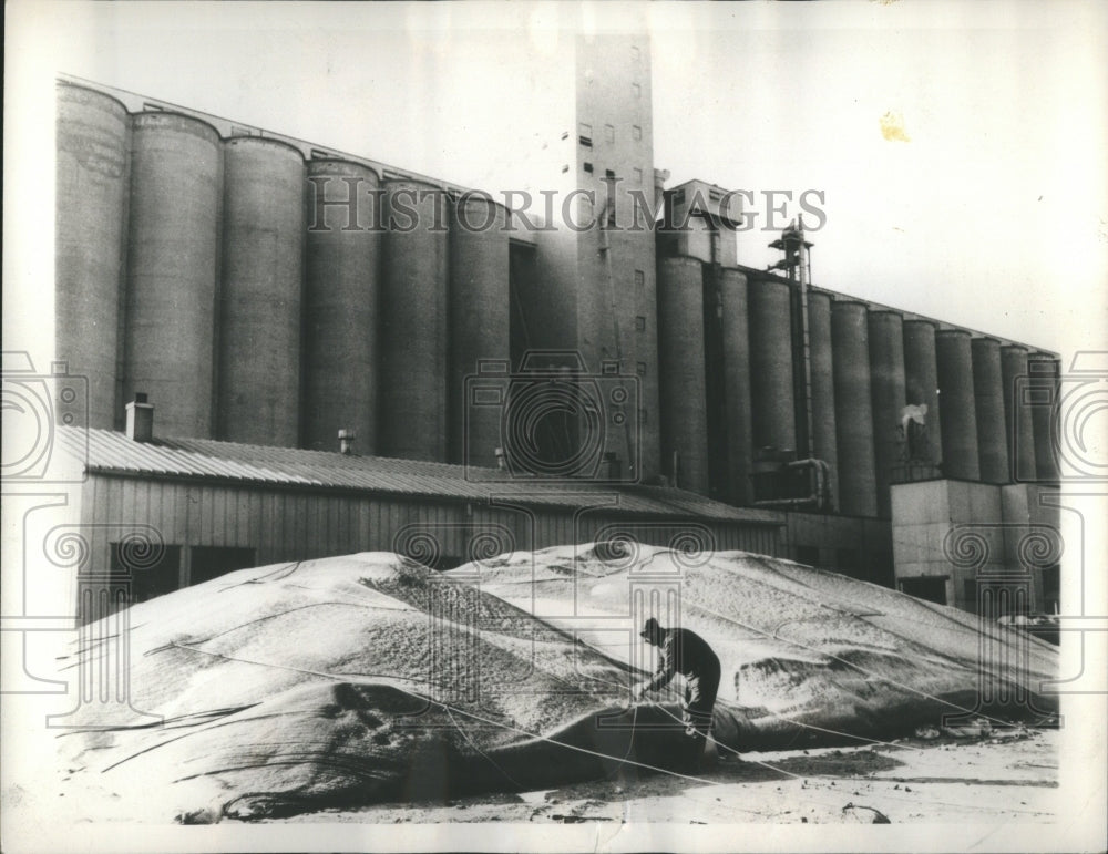 1965 Grain Elevators Overflowing Storage - Historic Images