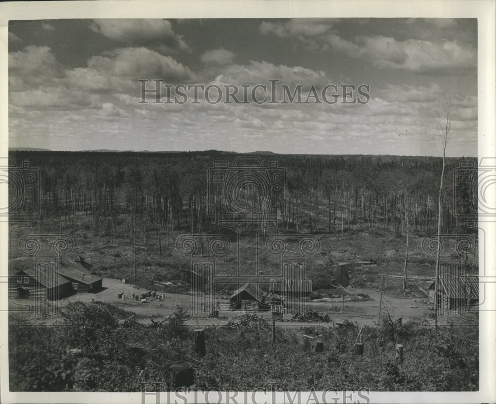 1942 Great Lakes Paper Company Trees Camp - Historic Images
