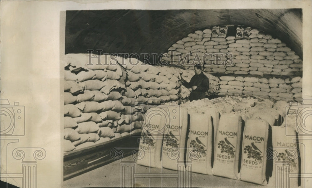 1947 Grain Storage Cave Illiopolis Illinois - Historic Images