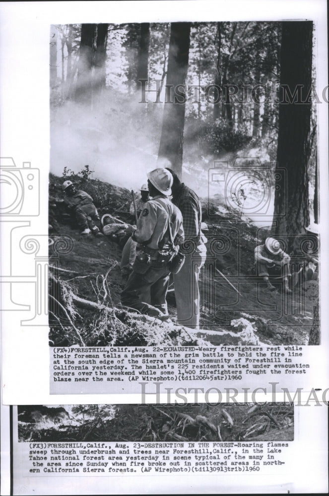 1960 Weary Firefighters South Edge Forest - Historic Images