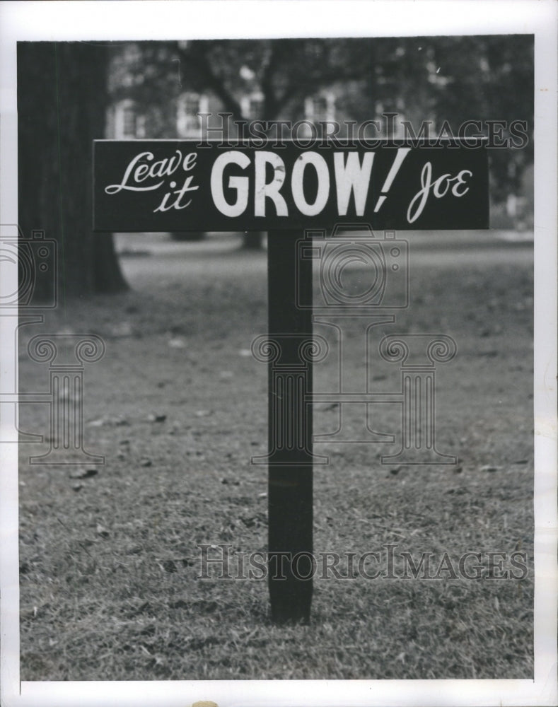 1946 Signs - Historic Images