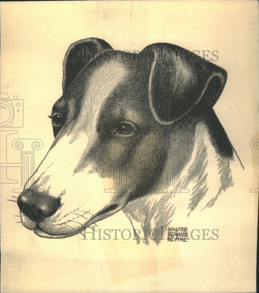 1940 Smooth Fox Terrier Kennel First Breed - Historic Images