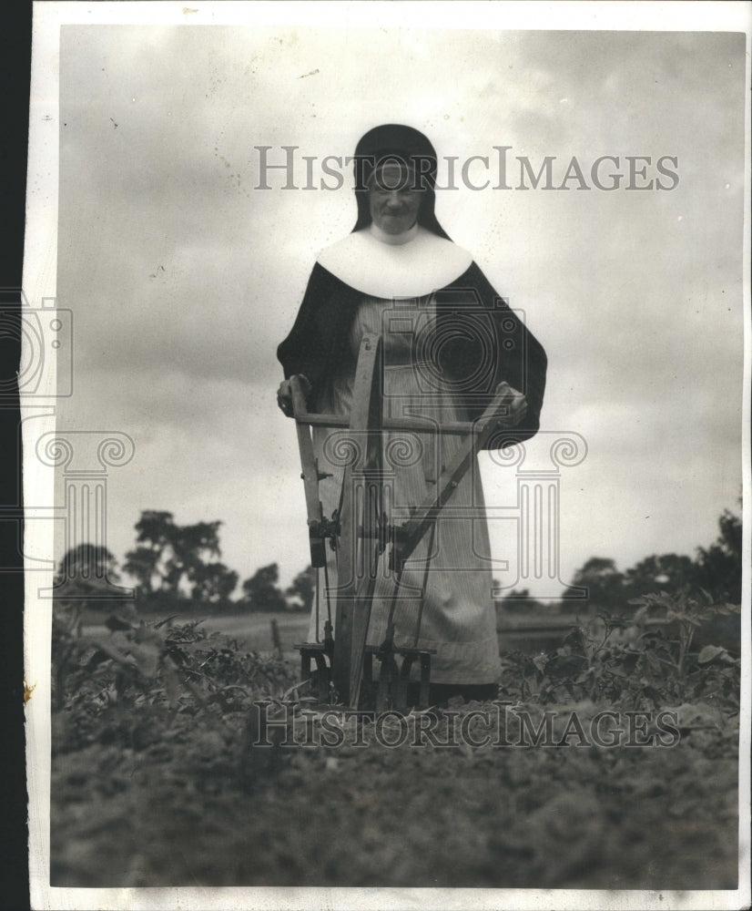 1943 sister hand cultivator tomato plants - Historic Images